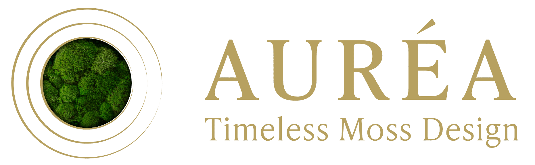 cropped slog 3 1.png