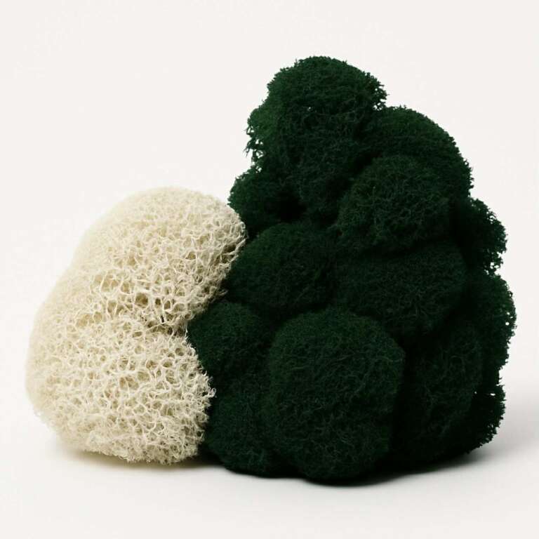 67eb3b88 9023 4d96 b85b 39e3f32aff9a