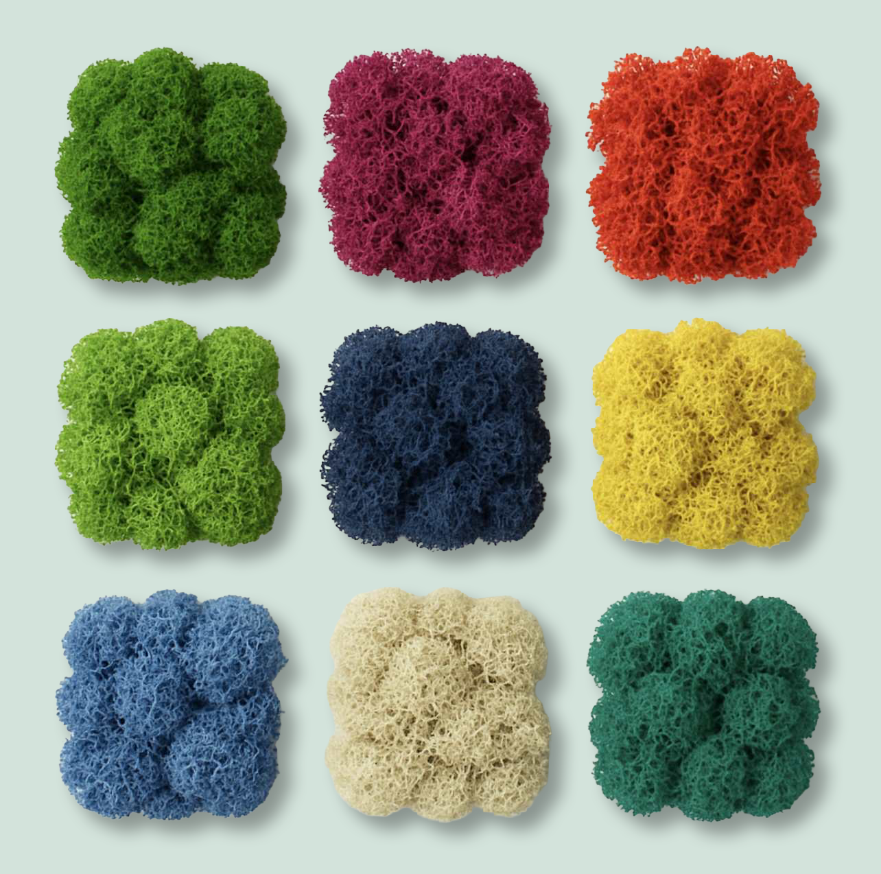 f4098bc5 fa3d 4603 9046 803654781a42 copy